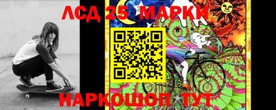 дживик Шелехов