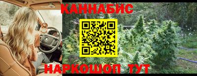 винт Шахты