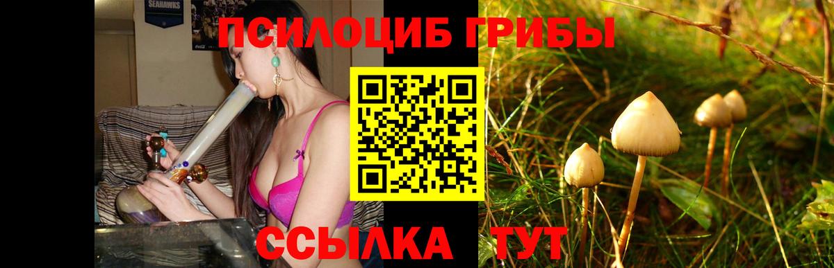 Бахчисарай  Псилоцибиновые грибы GOLDEN TEACHER  Вход с VPN  наркота  Псилоцибиновые грибы Cubensis 